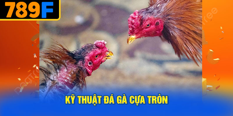 Kỹ Thuật Đá Gà Cựa Tròn