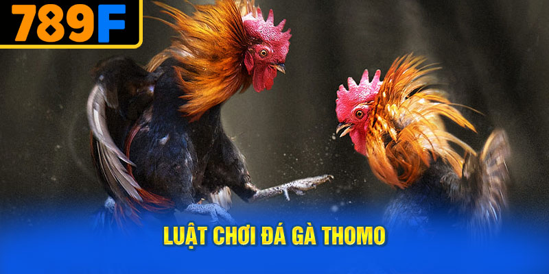 Luật Chơi Đá Gà Thomo