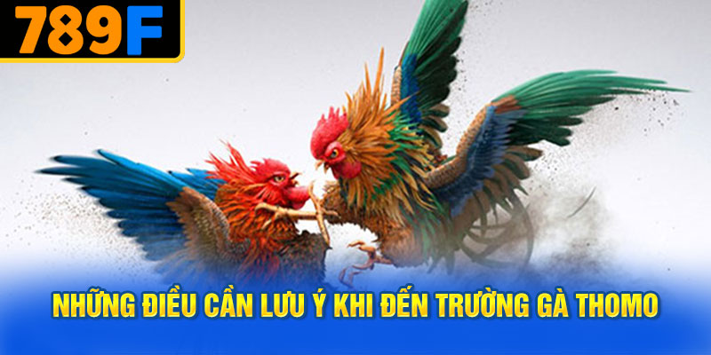 Những Điều Cần Lưu Ý Khi Đến Trường Gà Thomo