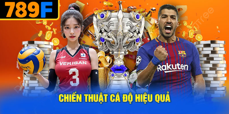 Chiến Thuật Cá Độ Hiệu Quả